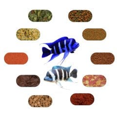 Frontoza Özel Yem Paketi ( Moba,Brundi Vb.) 100 Gr/Ad (7 Çeşit)