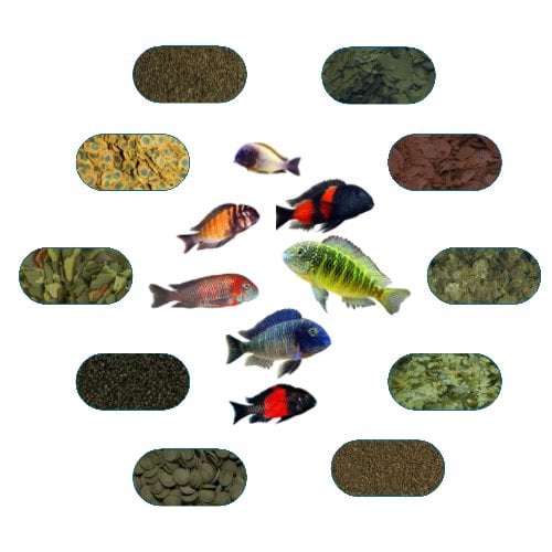 Tropheus Özel Balık Yem Paketi - Premium 100 Gr/Ad (7 Çeşit)