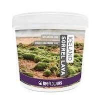 Reeflowers Iceland Sorrel Lava 4-6 mm 15 Kg
