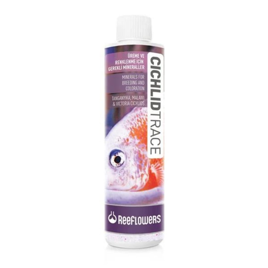 Reeflowers Cichlid Trace 500 Ml Bakteri Kültürü