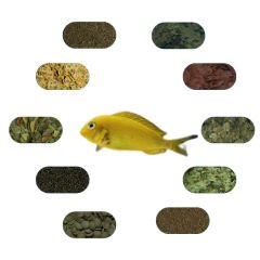 Tropheus Kriza Gold Özel Yem Paketi 100 Gr/Ad (5 Çeşit)