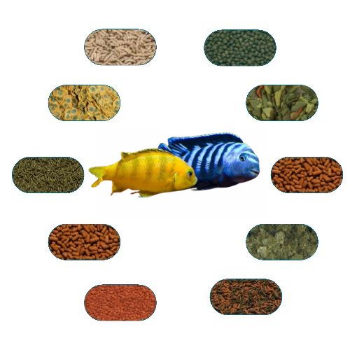 Saulosi Coral Red Özel Balık Yem Paketi 100 Gr/Ad (6 Çeşit)