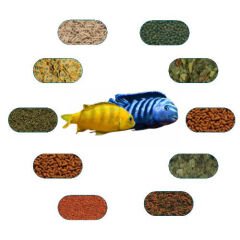 Saulosi Coral Red Özel Balık Yem Paketi 100 Gr/Ad (6 Çeşit)