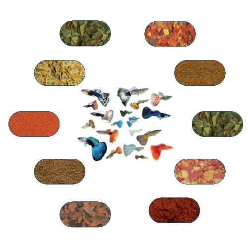 Lepistes Özel Balık Yem Paketi 50 Gr/Ad (7 Çeşit)