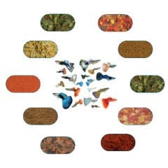 Lepistes Özel Balık Yem Paketi 50 Gr/Ad (7 Çeşit)