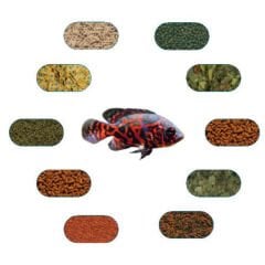 Astronot (Oscar) Large Yem Paketi (100) Gr/Ad (9 Çeşit)