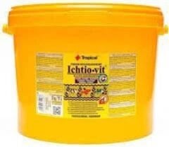Tropical Ichtıo-Vit 21L/4Kg Kova Balık Yemi
