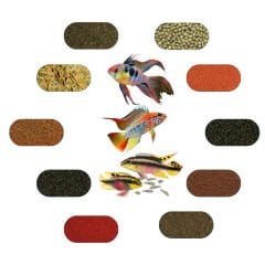 Cüce Amerikan Yem Paketi 100 Gr/Ad (7 Çeşit)