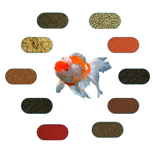 Oranda Yem Paketi 100 Gr/Ad (6 Çeşit)
