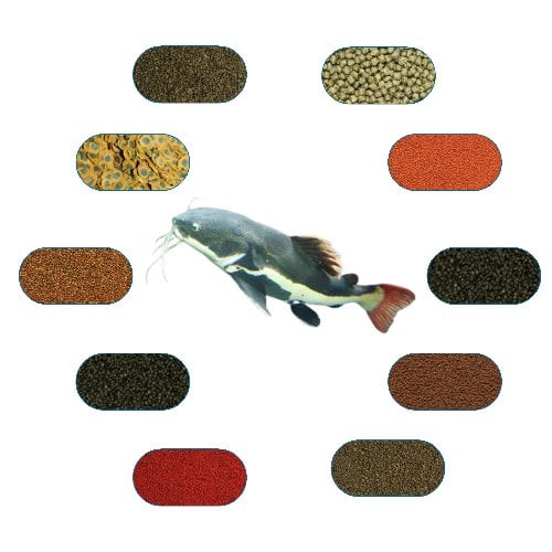 Kedi Balıkları Yem Paketi (Yayıngiller) 50 Gr/Ad (6 Çeşit)