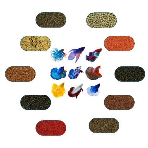 Betta Balığı Yem Paketi 100 Gr/Ad (4 Çeşit)