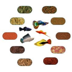 Tropikal Balık Yem Paketi (Kılıç,Moli,Lepistes,Velifera,Plati) 100 Gr/Ad (7 Çeşit)