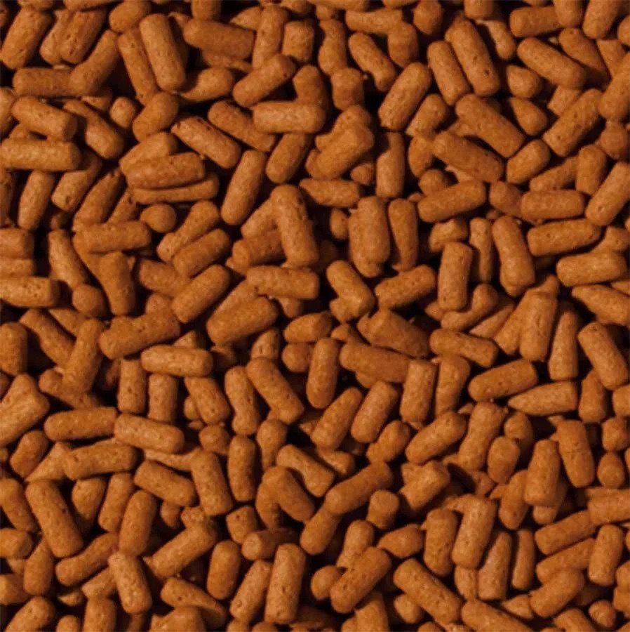 TROPİCAL CİCHLİD&AROWANA LARGE STİCKS 100 GR BALIK YEMİ (AÇIK)