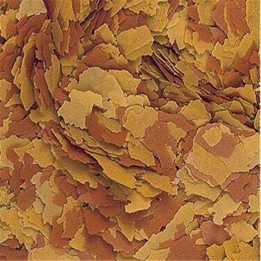TROPİCAL VİTALİTY&COLOUR 50 GR BALIK YEMİ (AÇIK)