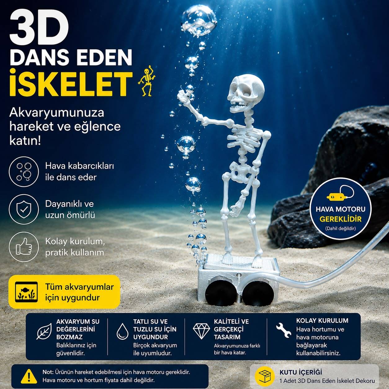 3D Dans Eden İskelet