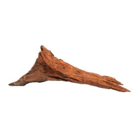Mangrow Kökü Small