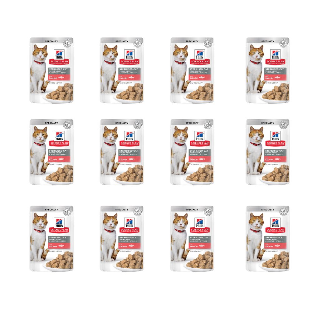 HİLL'S SOMONLU KEDİ YAŞ MAMASI 85 GR X12 Lİ PAKET