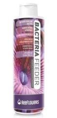 Reeflowers Bacteria Feeder 50 cc Bakteri Kültürü